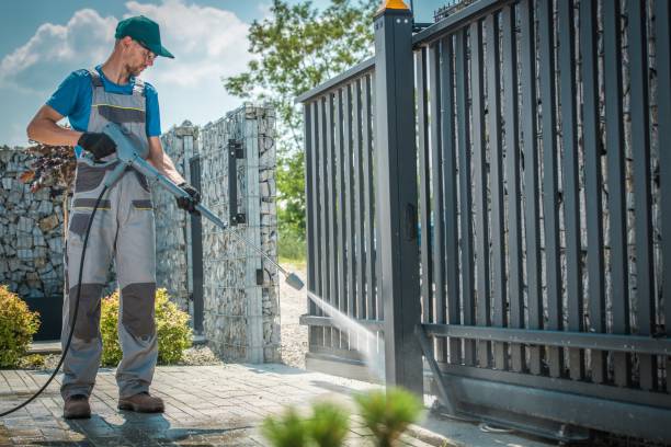 Best Rust Removal  in Zephyrhills, FL
