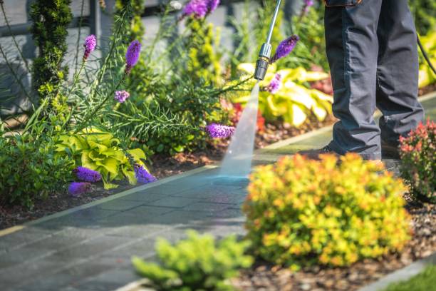 Trusted Zephyrhills, FL  Pressure Washing Services Experts