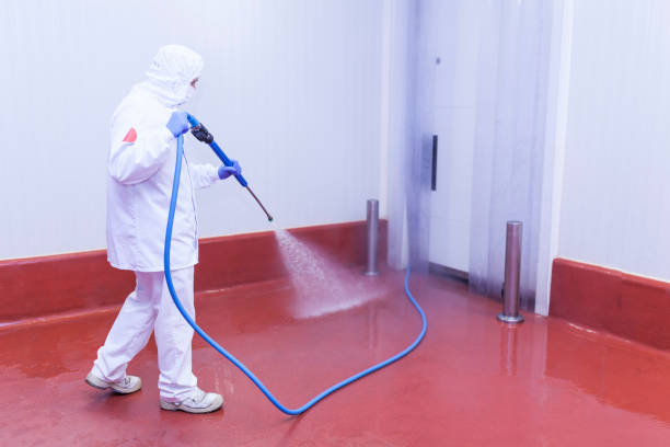 Best Oil Spill Cleanup  in Zephyrhills, FL