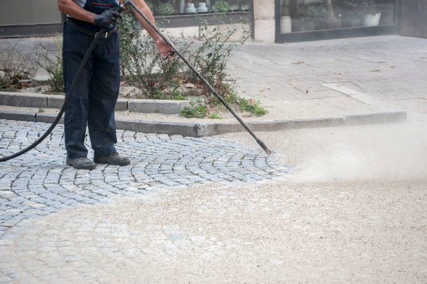 Best Fence Cleaning  in Zephyrhills, FL