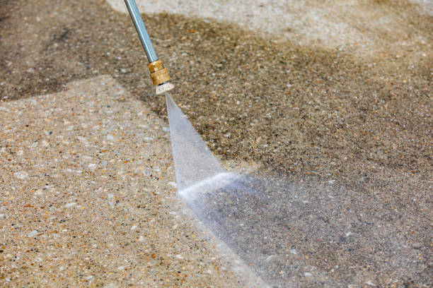 Best Gutter Cleaning  in Zephyrhills, FL