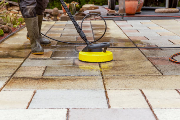 Best Animal Enclosure Cleaning  in Zephyrhills, FL