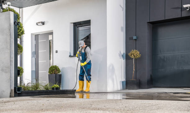 Best Solar Panel Cleaning  in Zephyrhills, FL